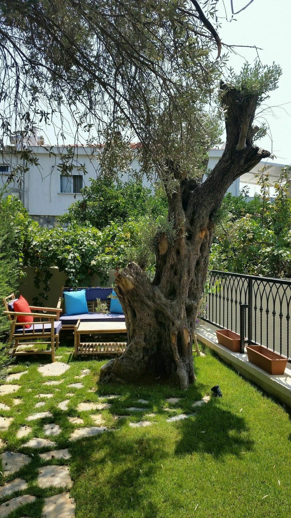Cassiopeia Hotel Alacati Exterior photo